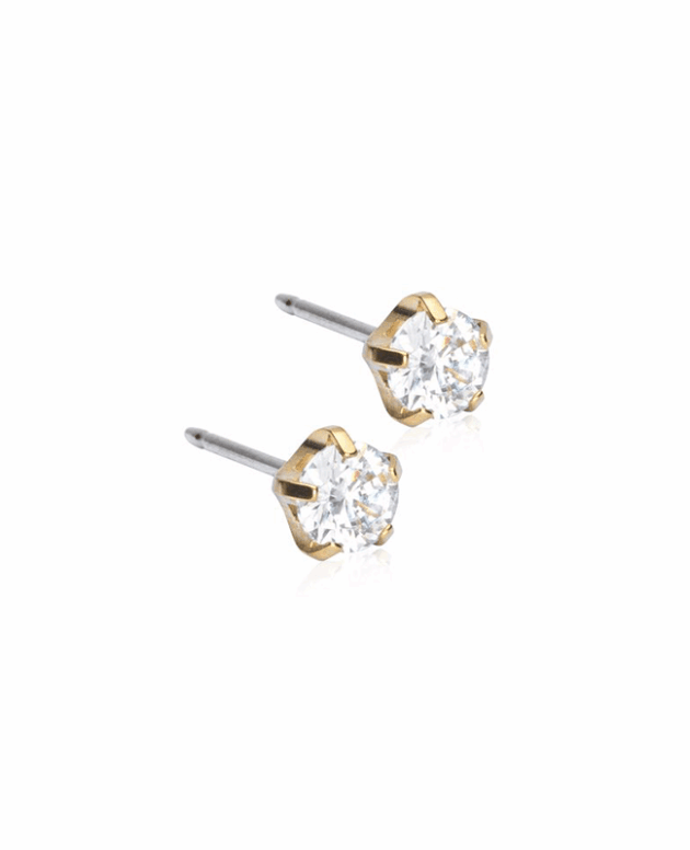 Tiffany Precious Earring